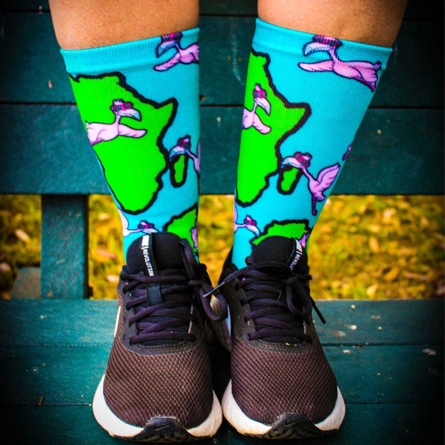 African Flamingo Sox