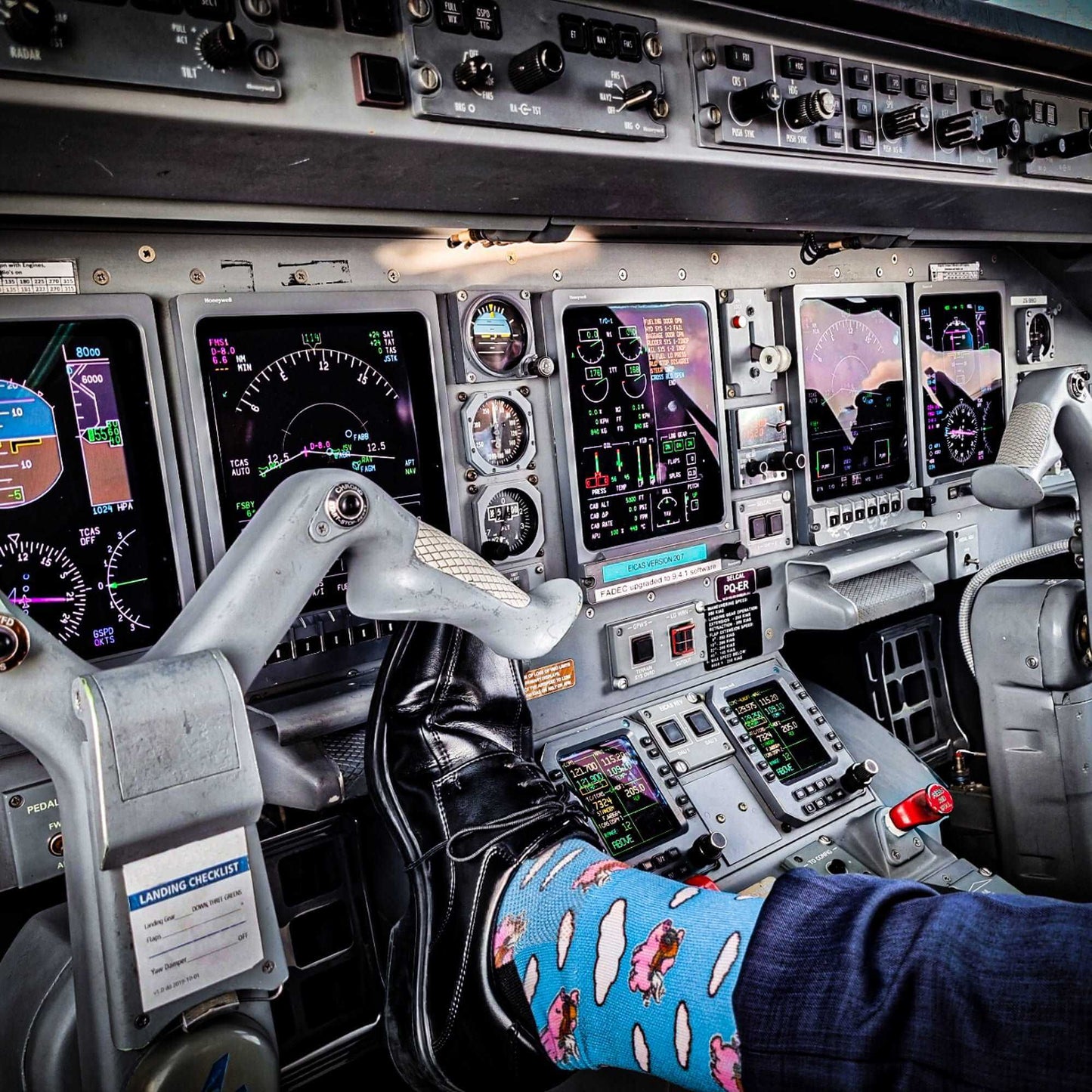 Flying Pigs Sox