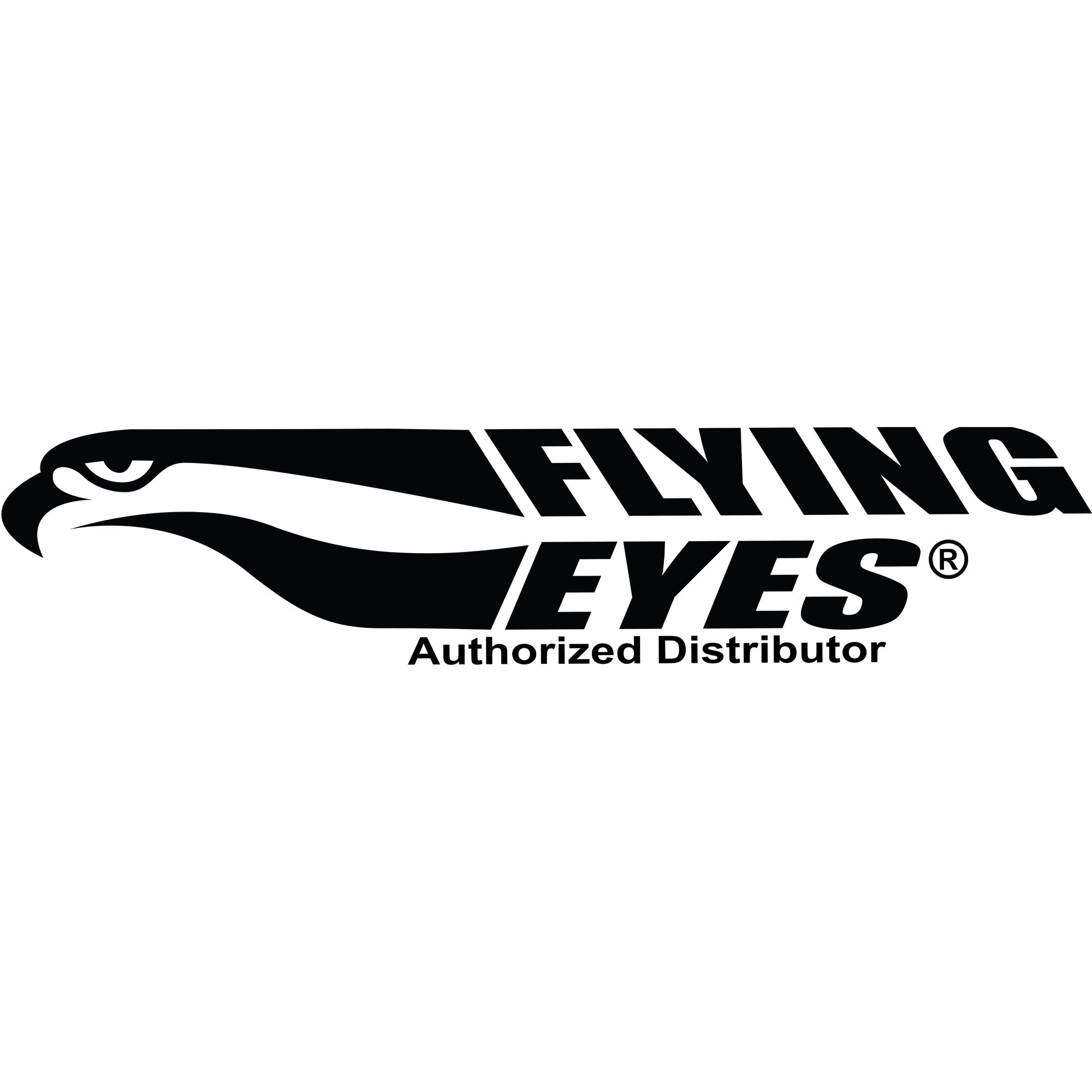 Flying Eyes Logo